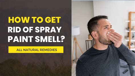 How to Get Spray Paint Smell Out of House: And Why Your Cat Might Be Plotting Against You