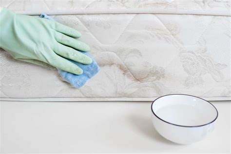 How to Remove Mold from Furniture: A Comprehensive Guide