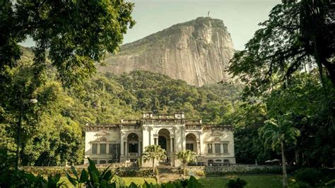 Jardim Botânico do Rio de Janeiro: Vẻ đẹp thiên nhiên và nét lịch sử độc đáo!