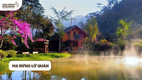 Suối Vàng: Một Kỳ Quan Thiên Nhiên Lấp Lánh Bởi Hóa Chất Khoáng